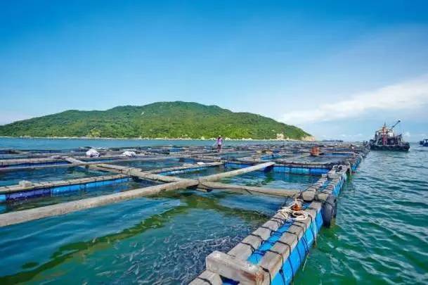 珠海市海淼水產(chǎn)進出口引進我司水產(chǎn)品質(zhì)量檢測儀